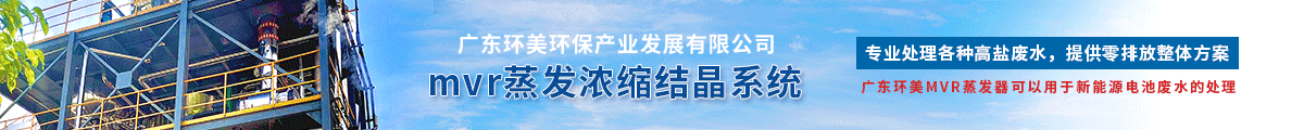 广东环美环保产业发展有限公司