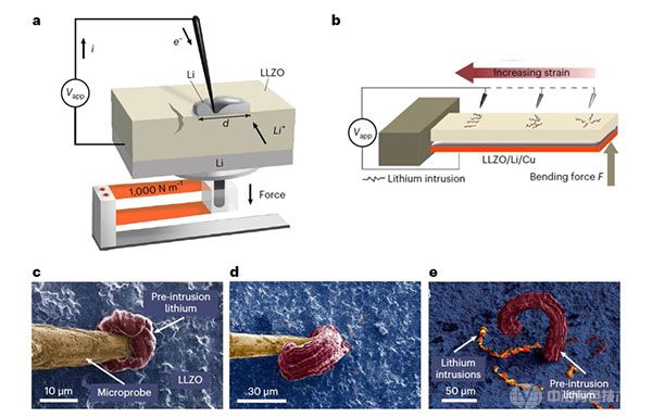 微探针操作平台和悬臂弯曲实验平台, 以及锂沉积动态过程的扫描电镜图像