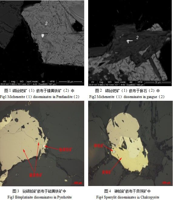 津巴布韦某铂钯矿工艺矿物学研究