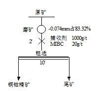 刚果（金）某铜钴矿浮选工艺研究