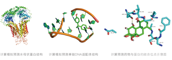 生物医药方向的微观模拟