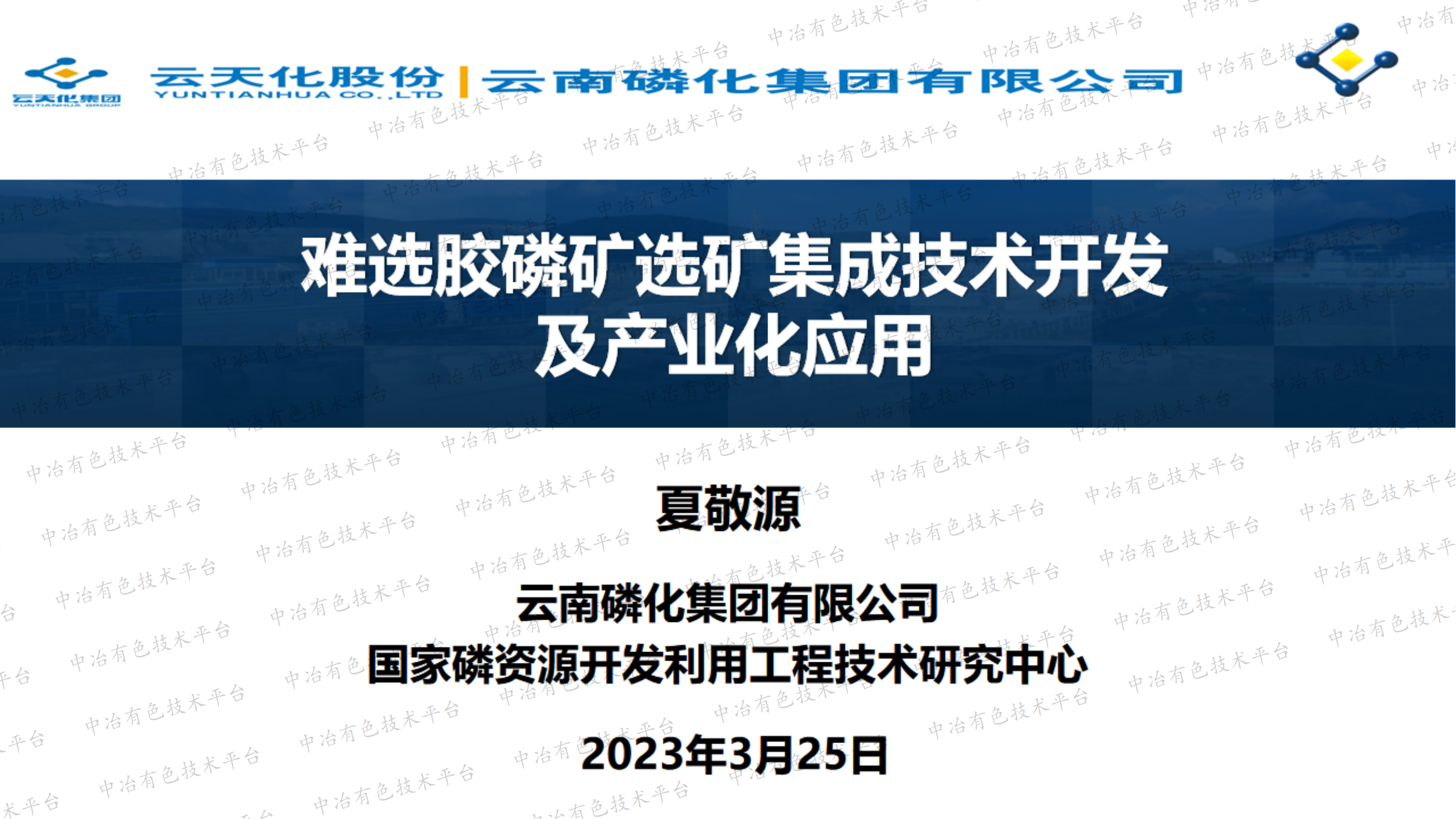 难选胶磷矿选矿集成技术开发 及产业化应用