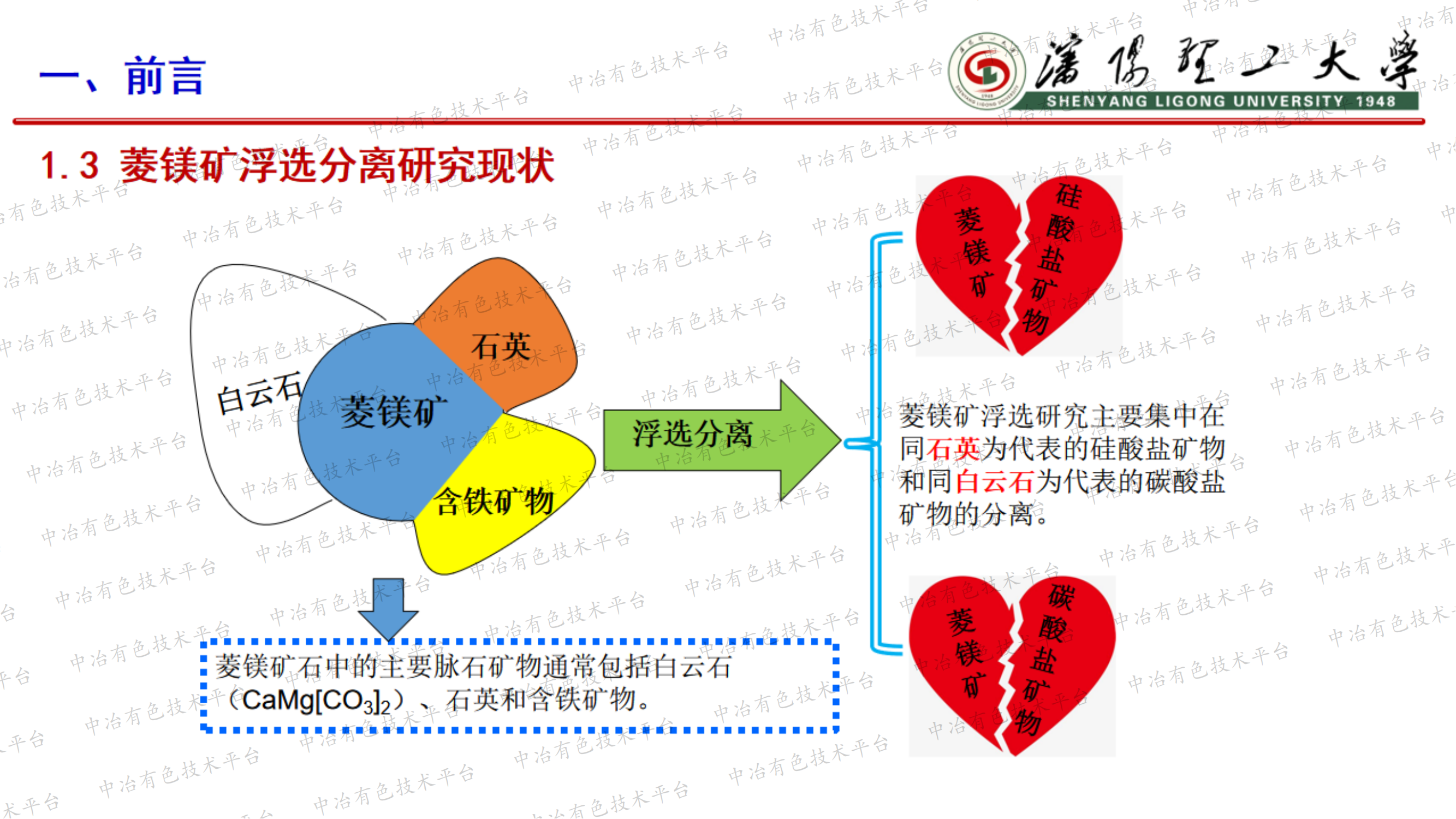 新型调整剂改善十二胺选择性捕收菱镁矿和石英性能机制研究