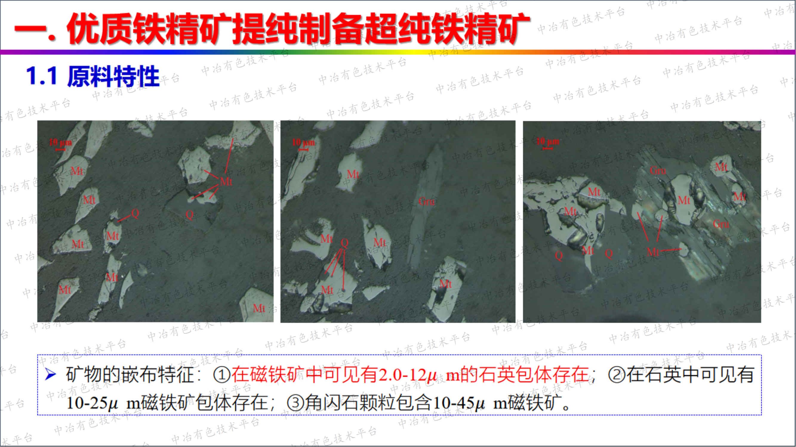 优质铁精矿短流程深加工