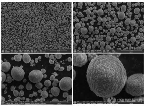 镍钴锰氢氧化物-SEM图
