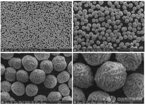 镍钴锰氢氧化物-SEM图