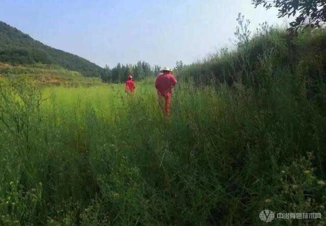 南阳新发现金矿 南阳新发现金矿