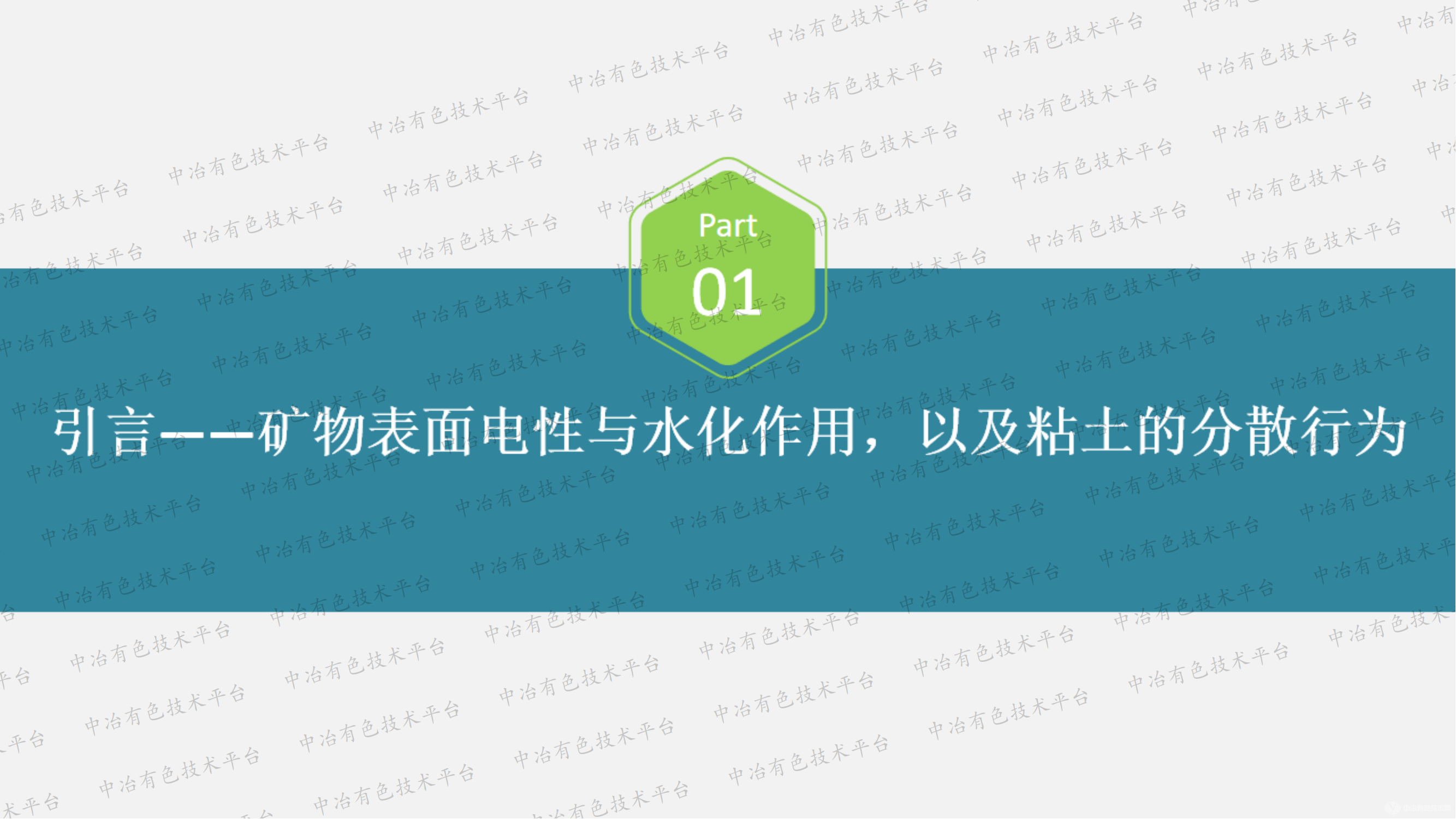 微细尾矿固液分离界面化学基础研究