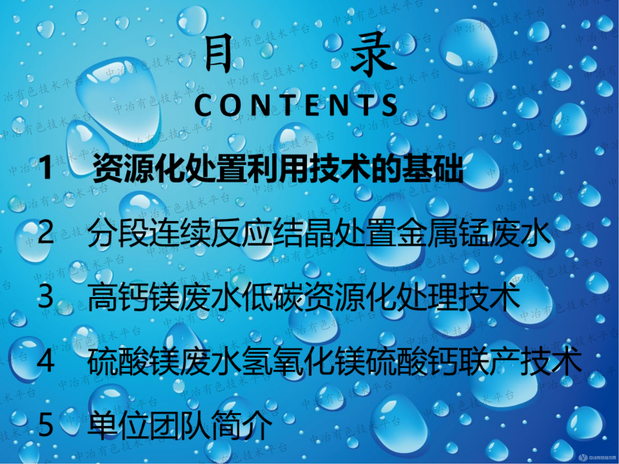 高效、低碳废水资源化处置利用技术