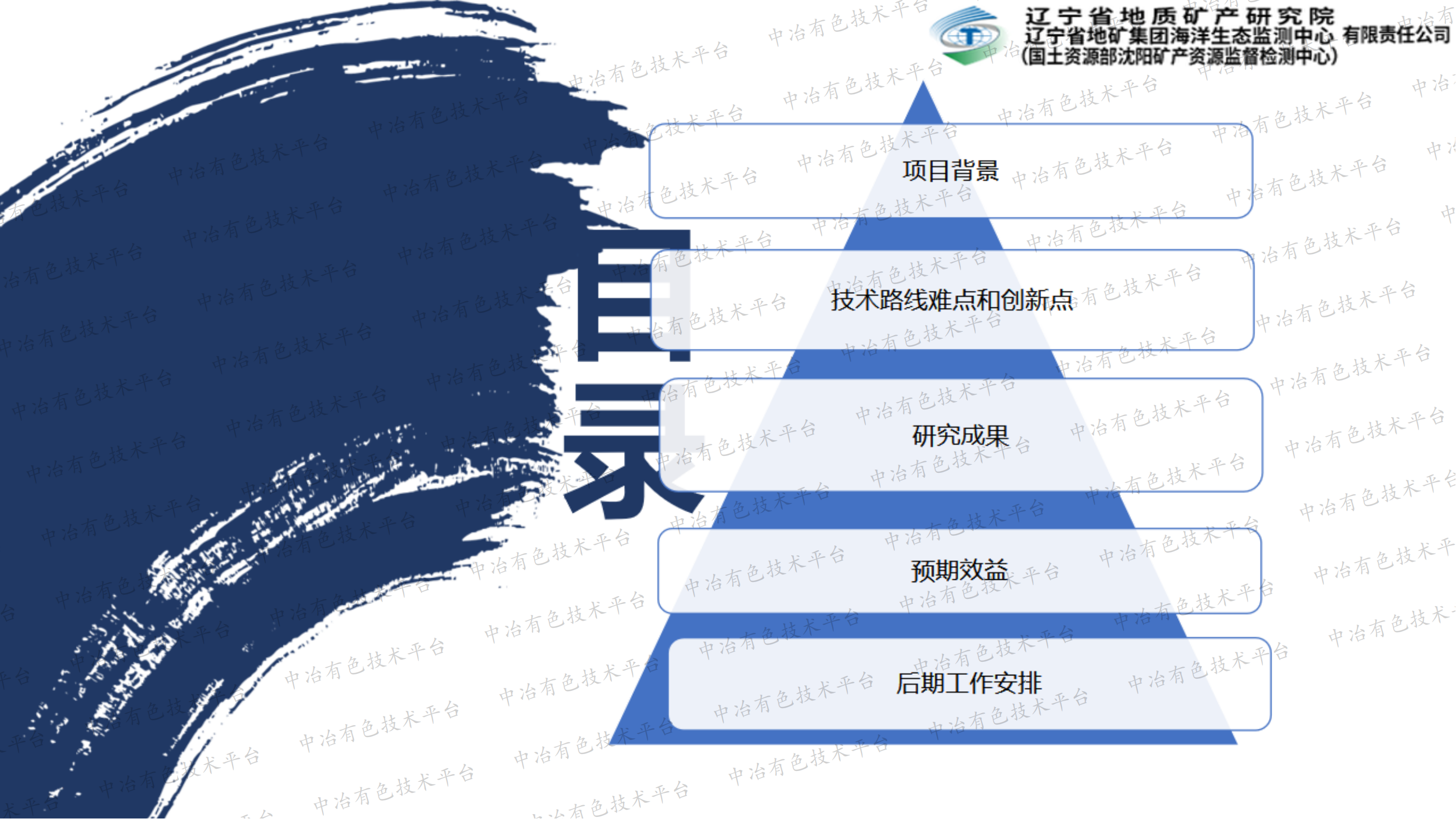 硼泥综合利用技术