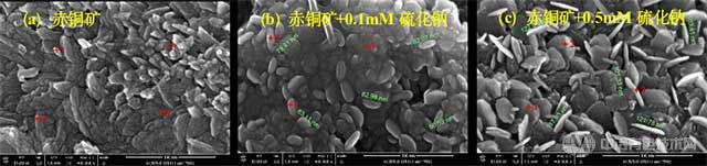 天然赤铜矿及硫化钠处理后的赤铜矿FESEM表面形貌
