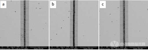 涂层截面整体形貌SEM图