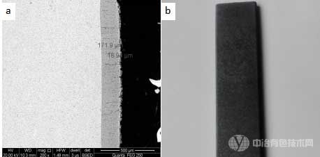 优化工艺后涂层形貌 a)截面 b)表面