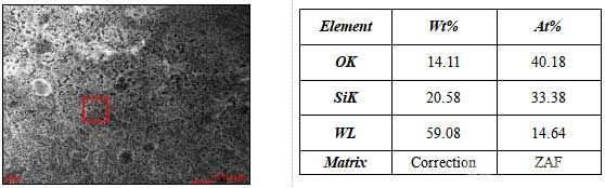 1700℃氧化14h后涂层表面形貌及EDS能谱分析