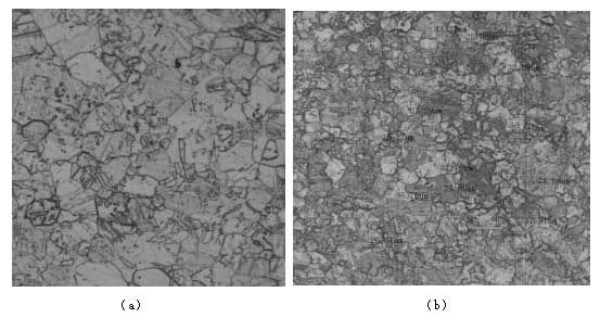 两种方案生产出银板的显微组织-200倍