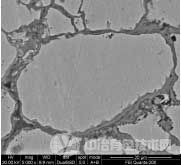 500℃空气中热处理后样品的SEM图.