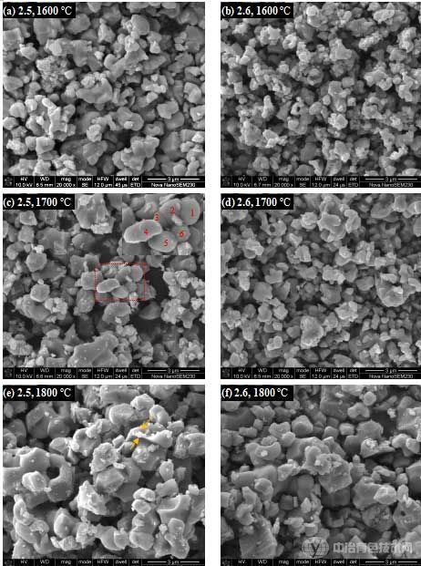 Ti(C1–x,Nx)粉末的SEM照片 Ti(C1–x,Nx)粉末的SEM照片