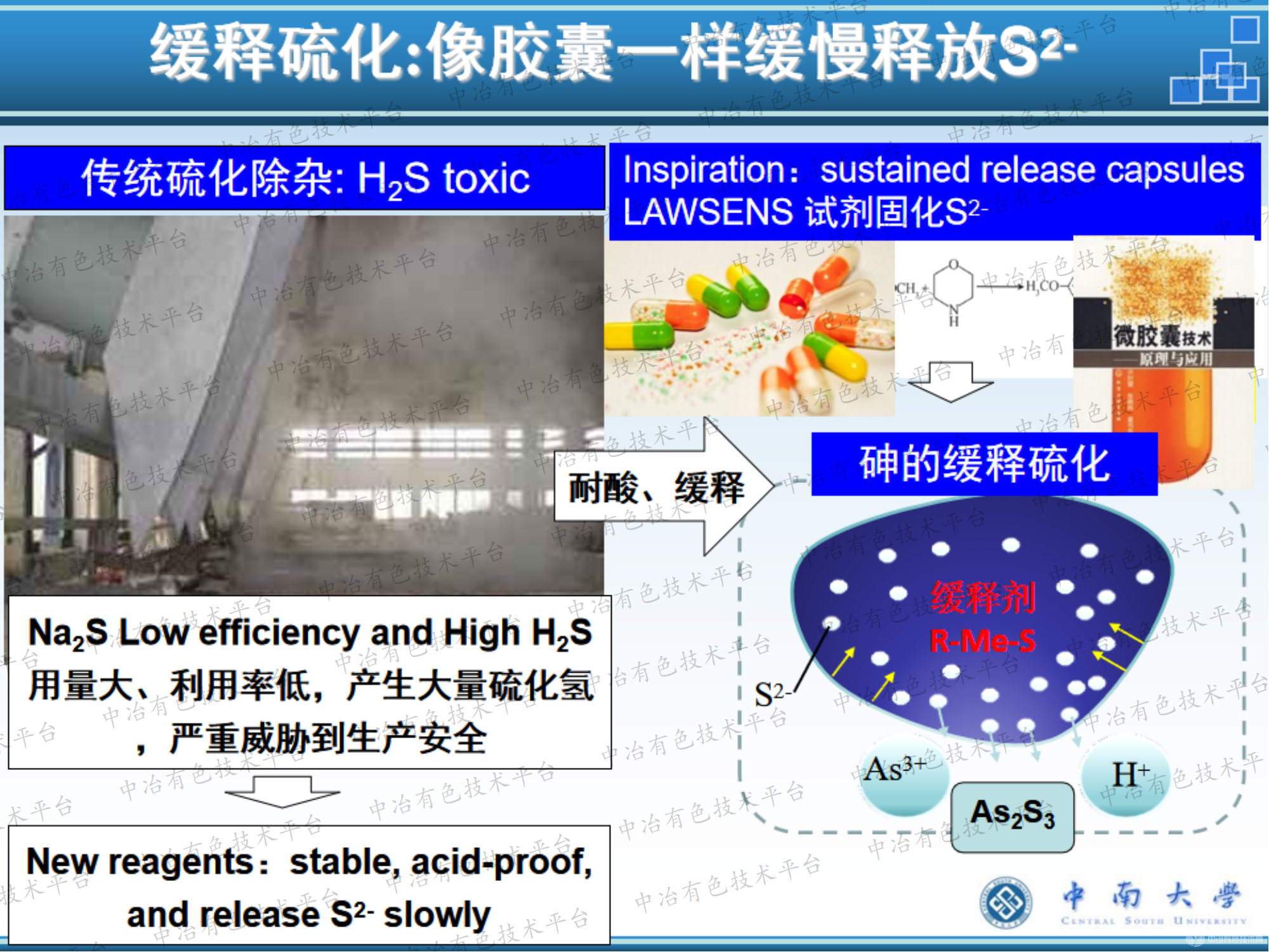 胶囊缓释硫化选择性成矿及选冶联合新技术