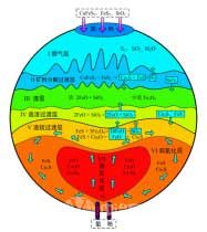 铜富氧底吹熔池熔炼机理模型横截面(A截面)示意图