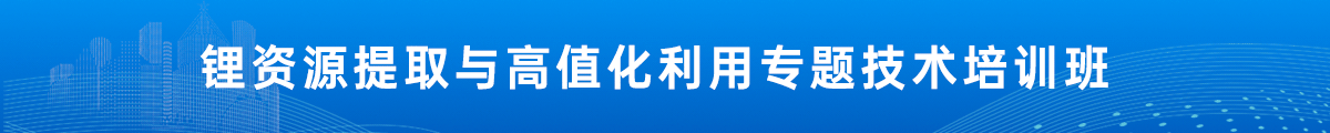 锂资源提取与高值化利用专题技术培训班