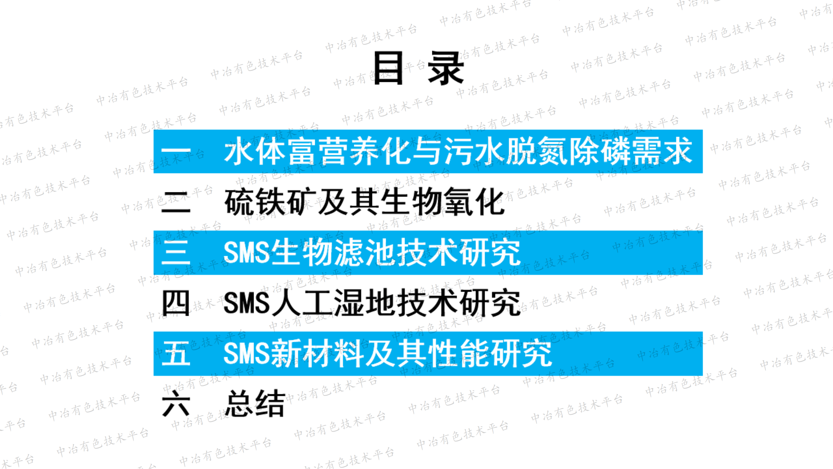 基于硫铁矿的低碳、高效、深度、同步脱氮除磷技术（SMS）研究