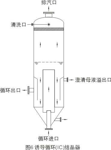 诱导循环结晶器