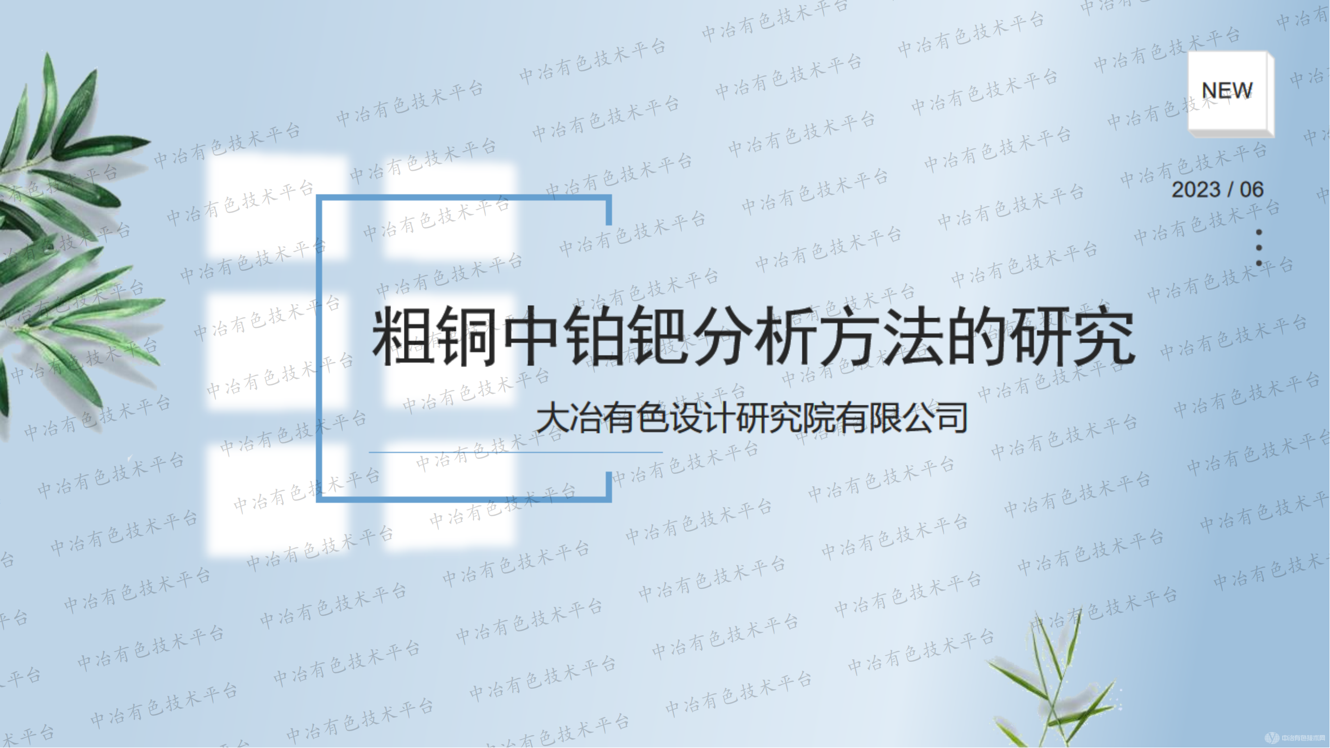 粗铜中铂钯分析方法的研究