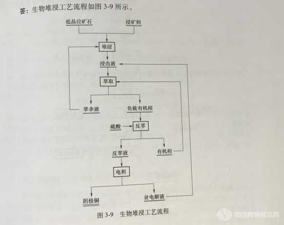 生物堆浸工艺流程