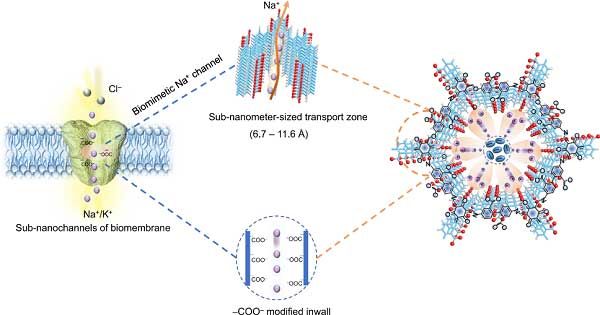 Nat. Commun.：准固态钠电池中钠离子传导通道的仿生设计