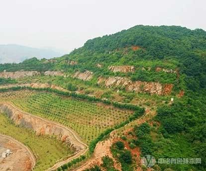 浙江智能化绿色矿山建设取得标志性成果