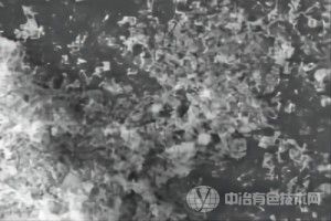 [统计数据] 中国2023年1-10月钴湿法冶炼中间产品进口概况