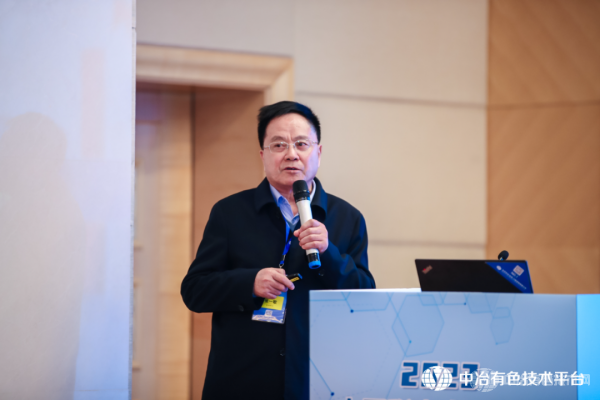 武汉科技大学张一敏教授