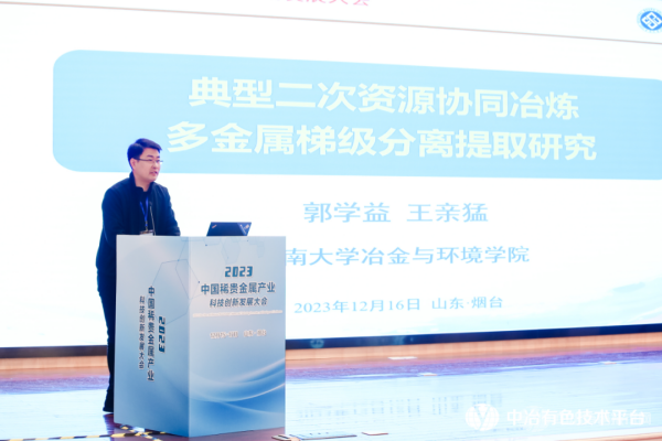 中南大学冶金与环境学院副院长王亲猛教授