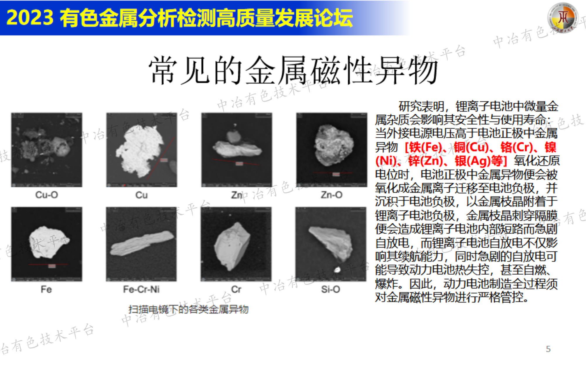 磁性异物对电池性能的影响