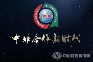 [分析评述] 非洲新能源电池价值链发展潜力巨大