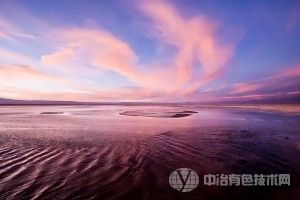 [产业发展]韩日企业拟加大力度投资智利锂电产业
