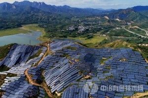 [产业发展] 中国可再生能源产业全球贡献巨大