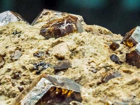 浮选柱浮选金矿矿泥半工业试验研究