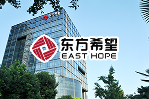 706186|新疆东方希望有色金属有限公司