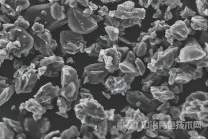 [企业动态] 尚太科技正就布局海外做前期论证工作
