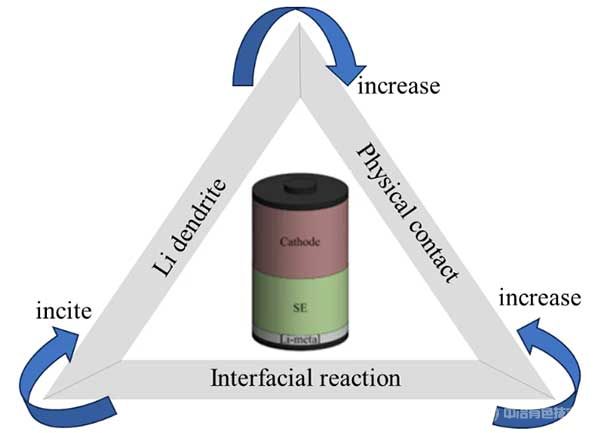 界面反应、锂枝晶以及固态电解质与锂金属阳极之间的界面物理接触的关系