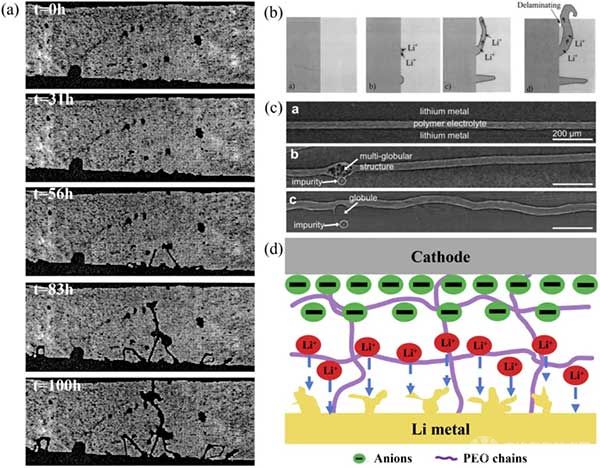  聚合物固态电解质中锂枝晶形成示意图