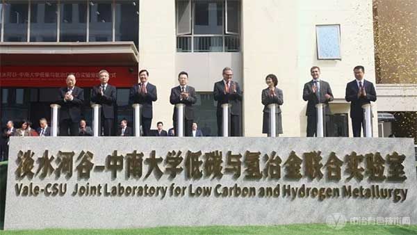 淡水河谷--中南大学低碳与氢冶金联合实验室启动