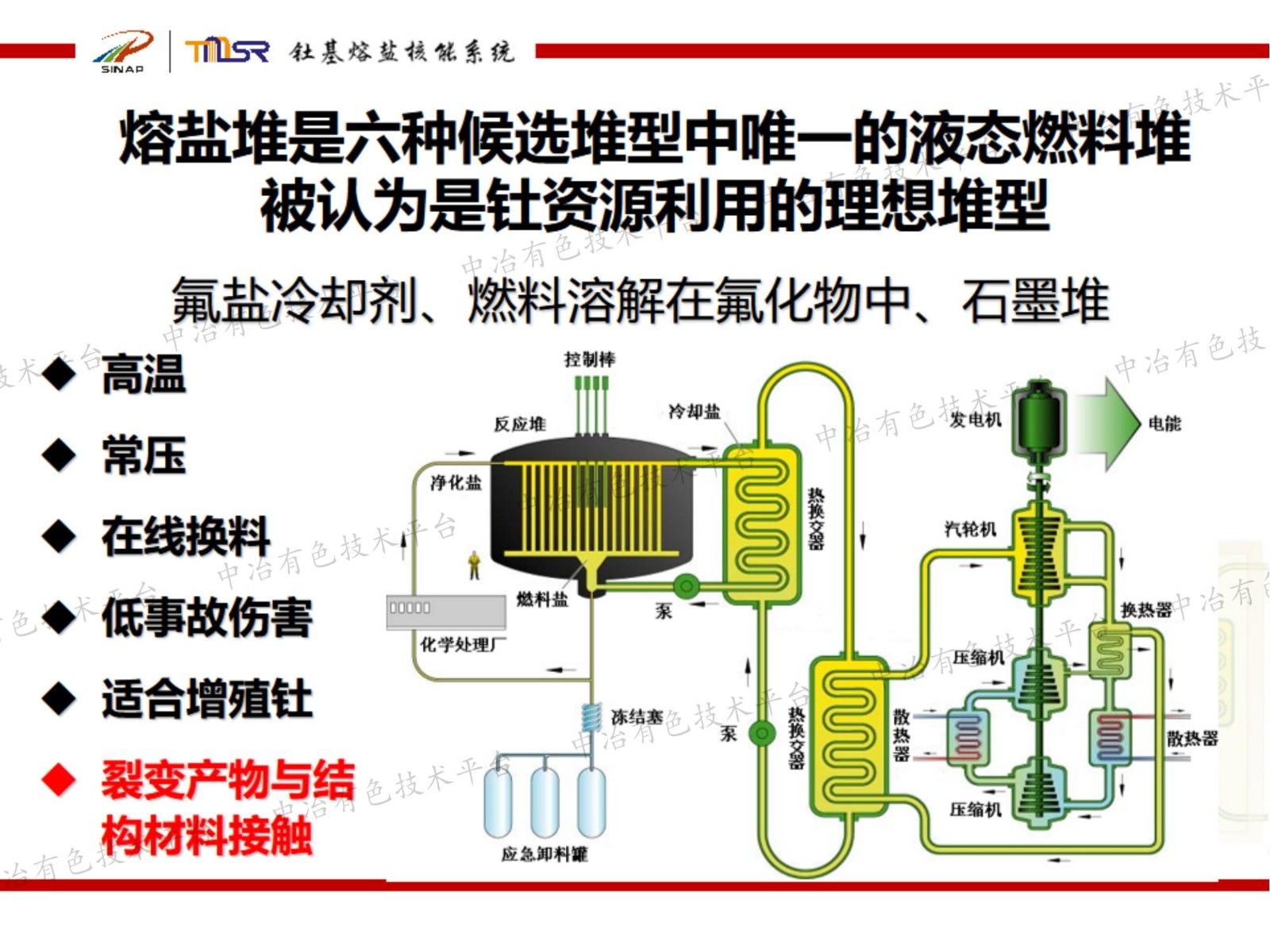 熔盐堆合金结构材料的Te致脆化行为