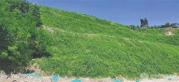 海南：严控新设矿业权，全面加强矿山生态修复