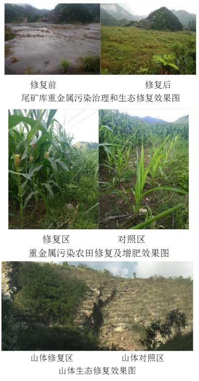 重金属污染治理及生态修复