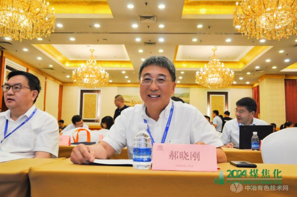 山西省化工学会郝晓刚理事长