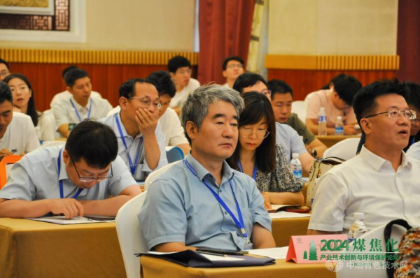 东义煤电铝集团煤化工有限公司 林官敬 总工程师