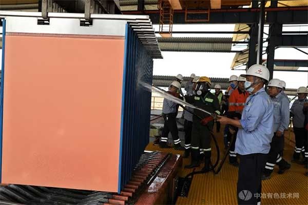 洛阳钼业TFM混合矿实现产品产量与质量双达标