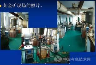 尼尔森重选含铅金矿无污染冶炼工艺